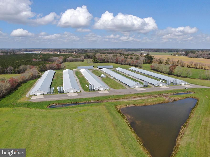 Six house poultry farm growing for Mountaire. All houses are 60x560s built in 2016 (201,600 sqft). Total land included is two parcels totaling +/- 36 acres (Worcester County tax maps have not updated recent lot line adjustments). Two manure sheds with concrete pads.  Farm is Improved by a nice 3 bedroom 2 bath manufactured home with detached storage shed on +/- 6-acre lot.