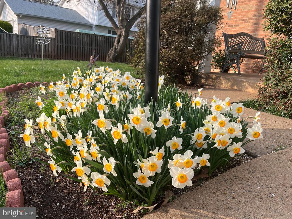 Photo of 10103 Trinity Lane, MANASSAS, VA 20110 (MLS # VAMN2010852)