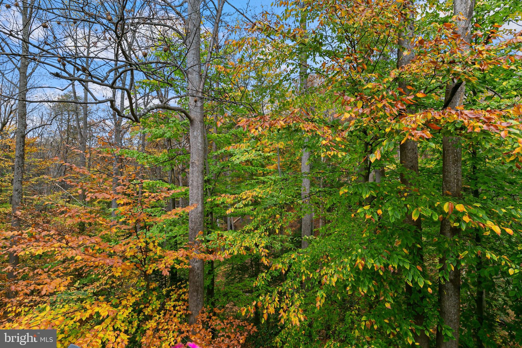 DUMONT OAKS - Residential