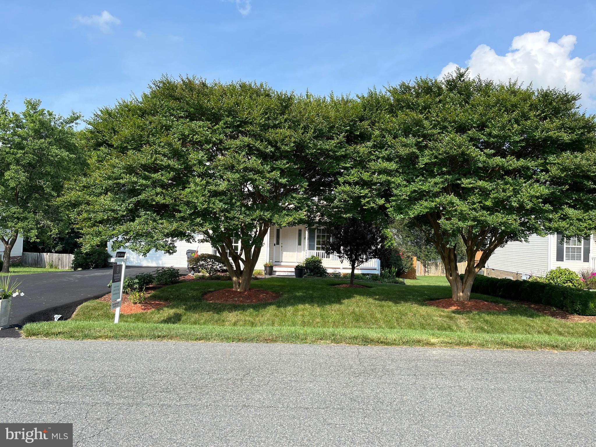 11411 REED ROAD