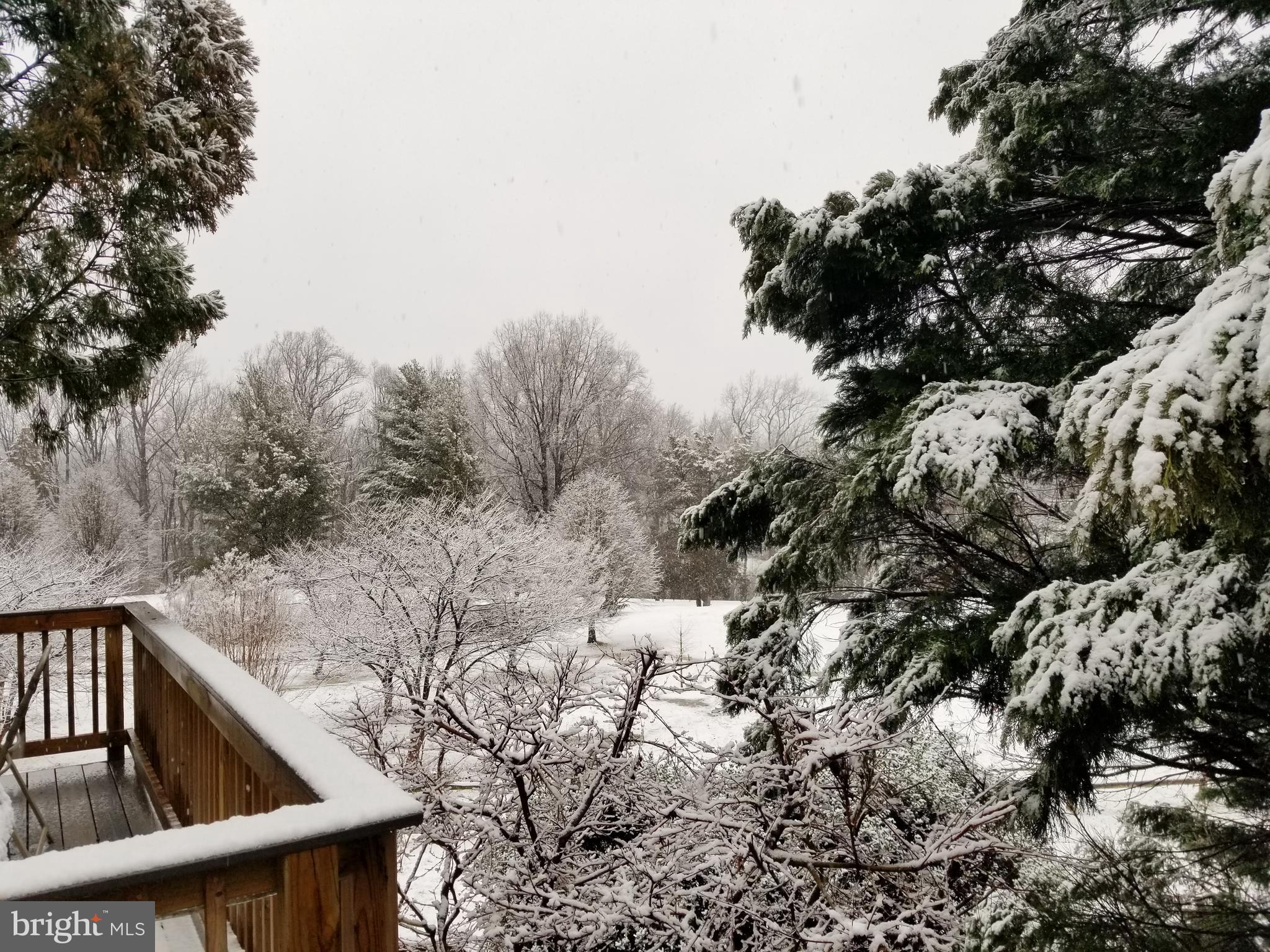 PINECREST - Residential