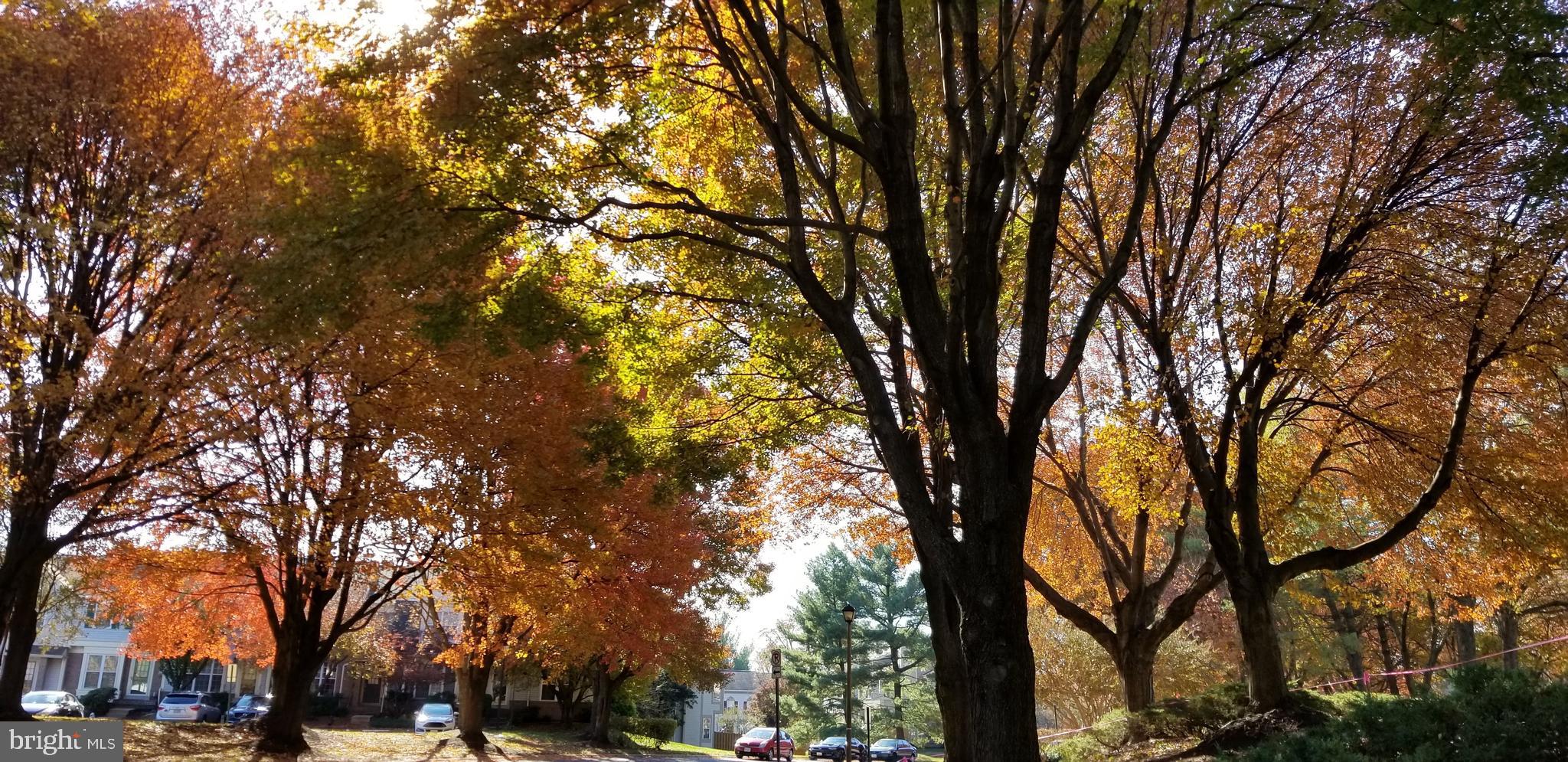 PINECREST - Residential