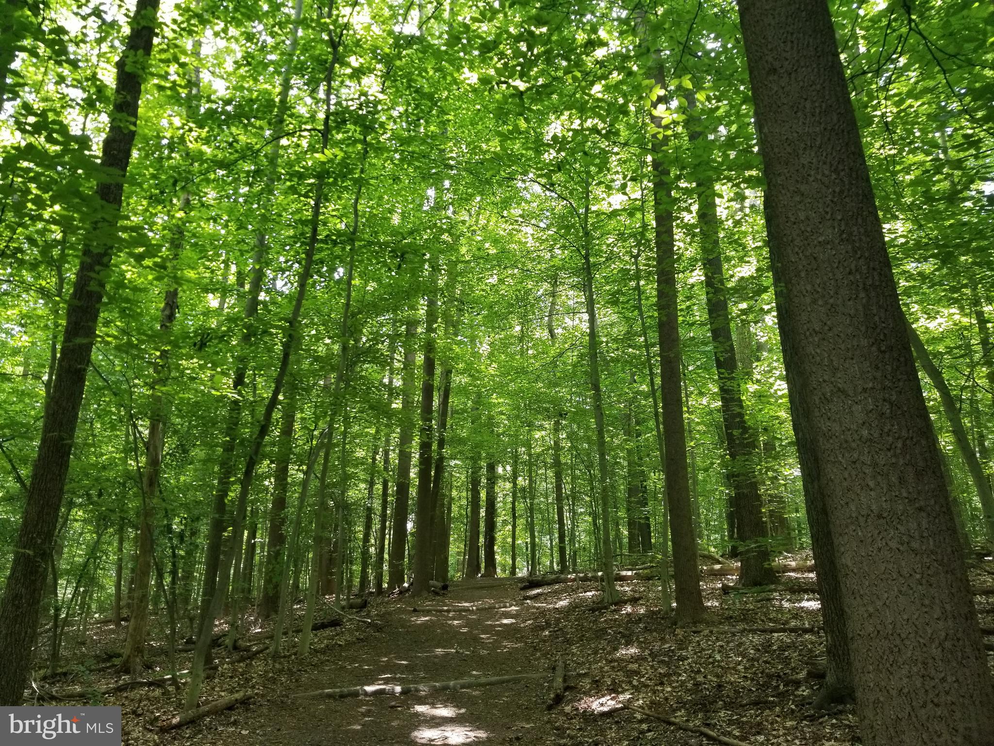 PINECREST - Residential