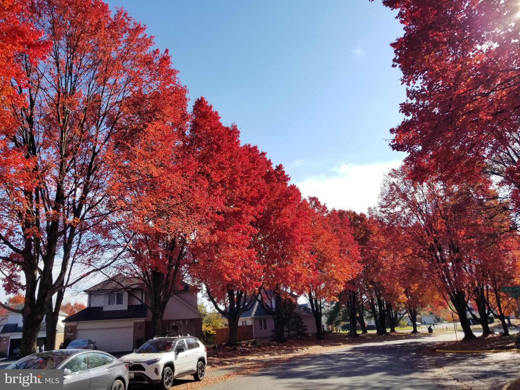 PINECREST - Residential