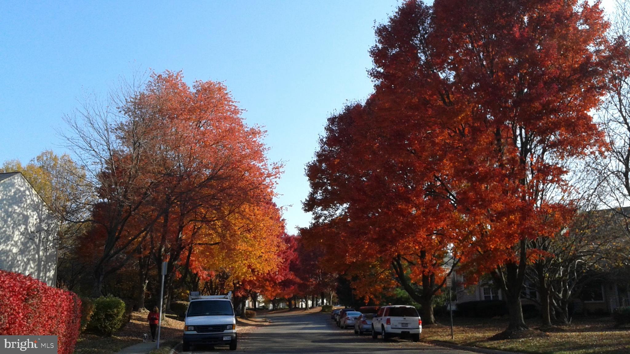 PINECREST - Residential