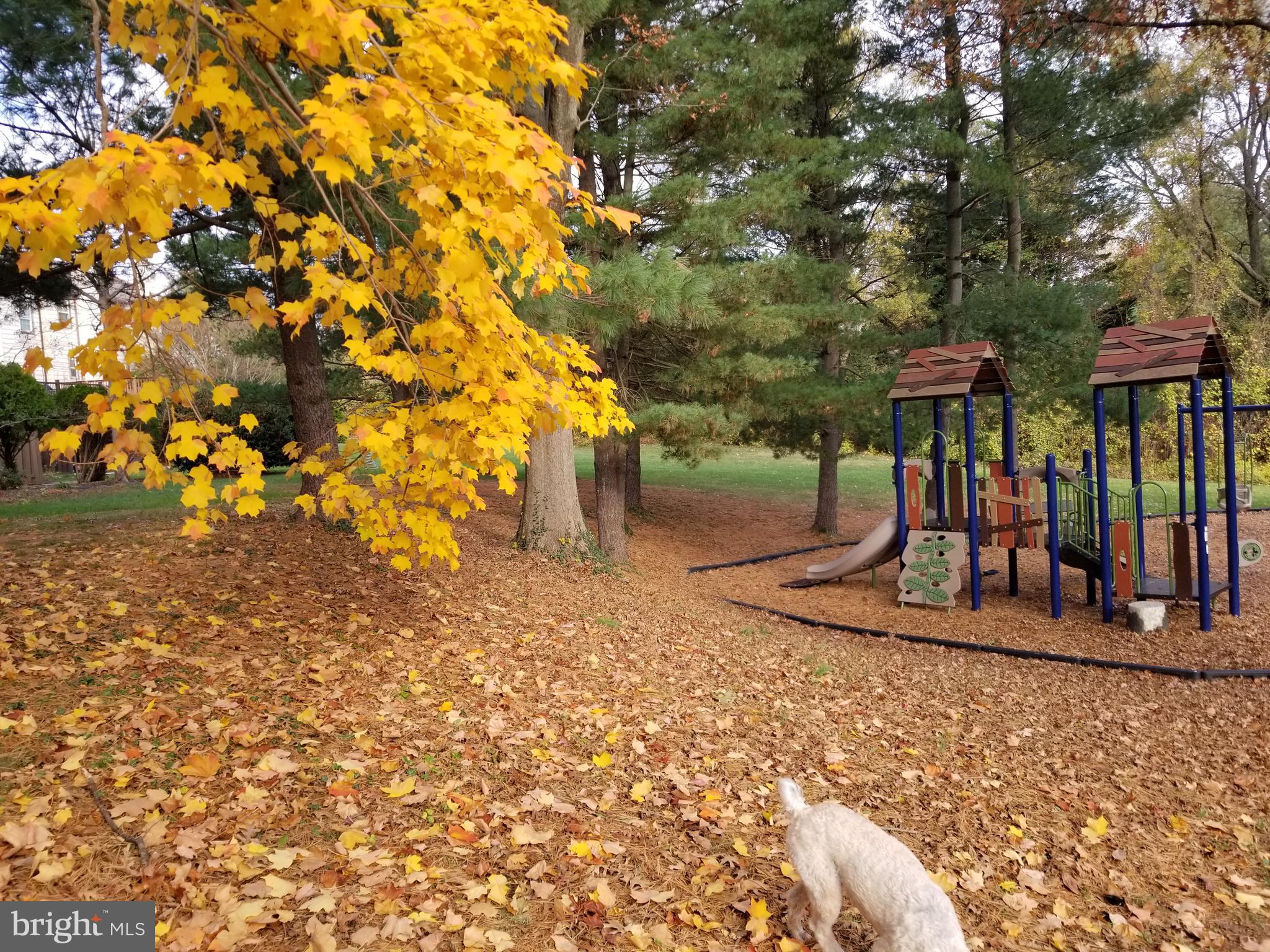 PINECREST - Residential