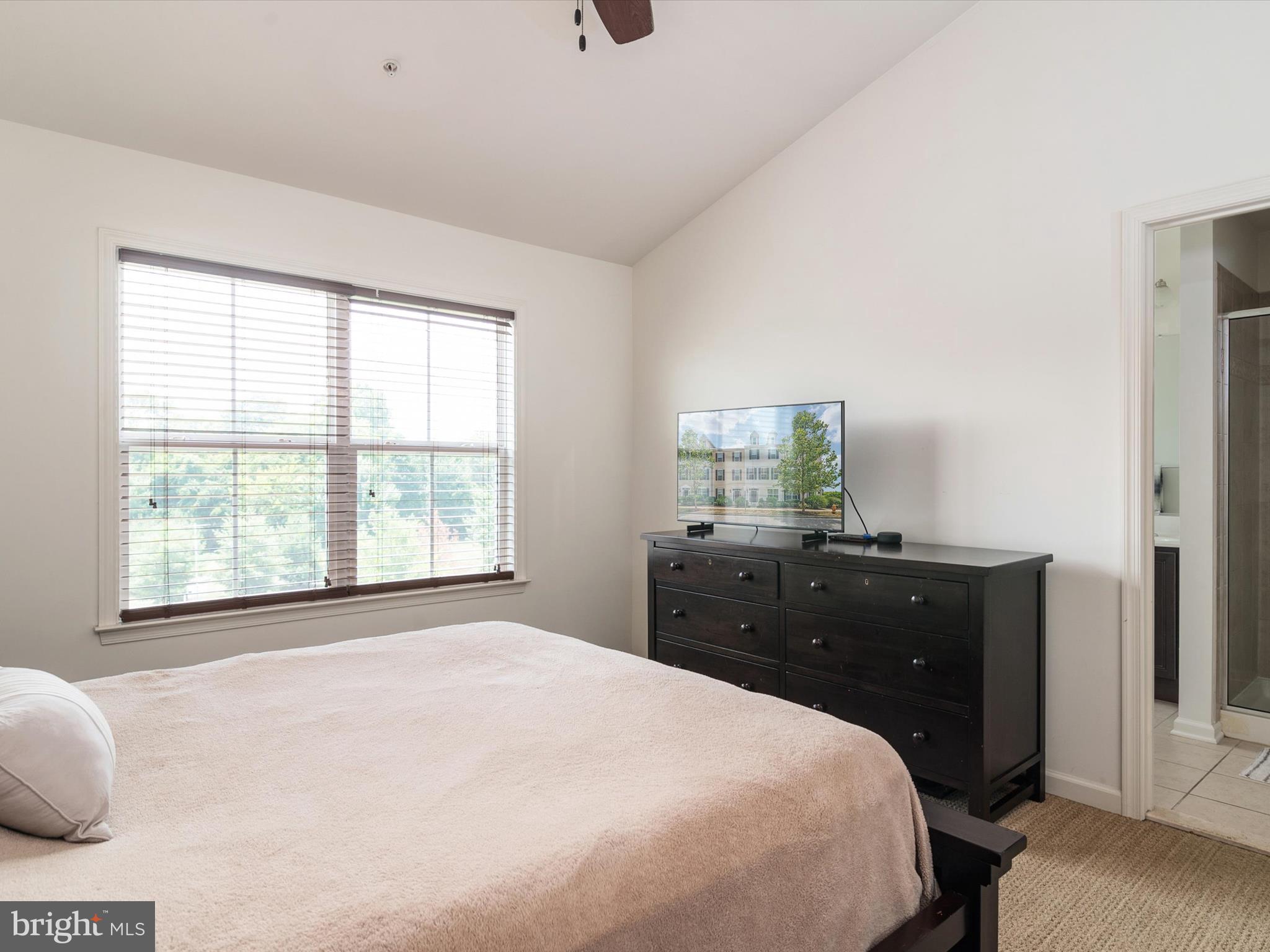 ELLENDALE - Residential