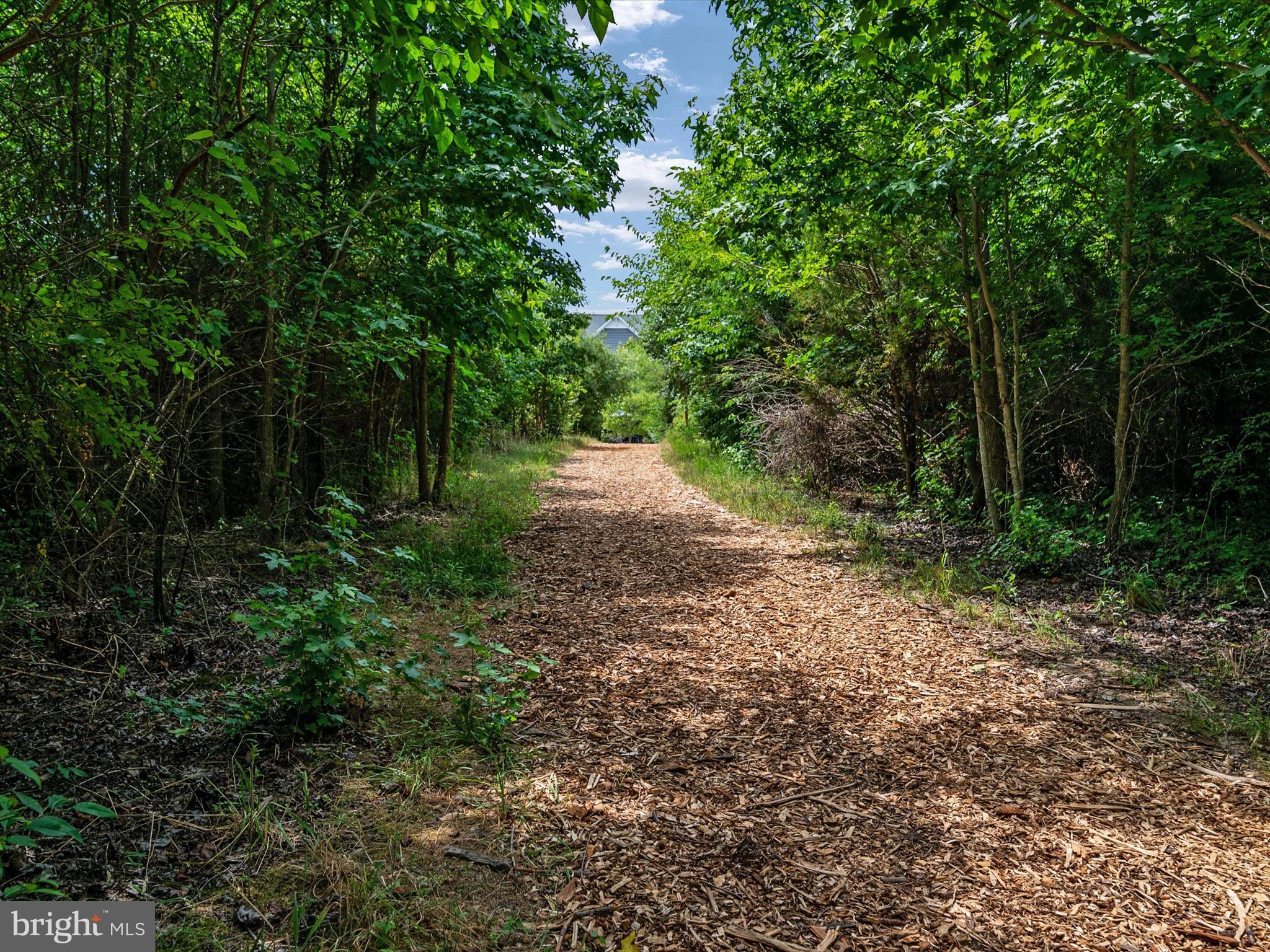 ELLENDALE - Residential