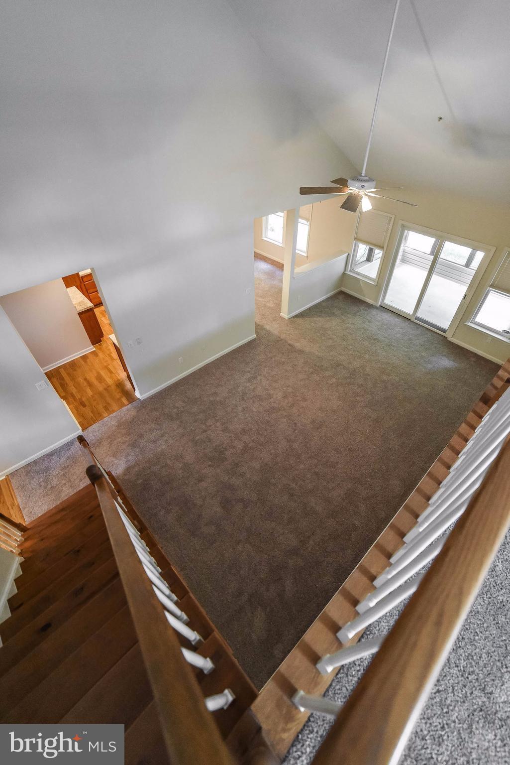 ORCHID PARK OF WILDEWOOD - Residential