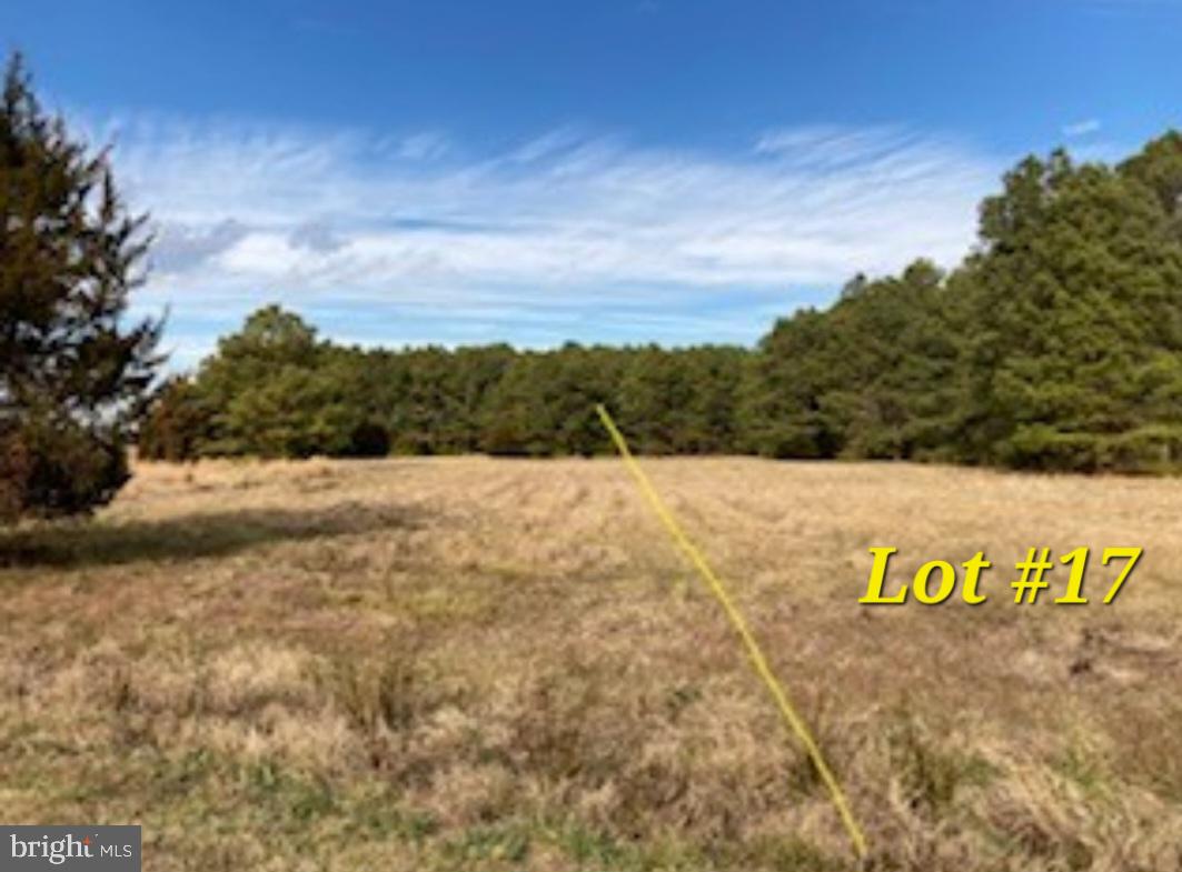 814 CODY DRIVE LOT 17