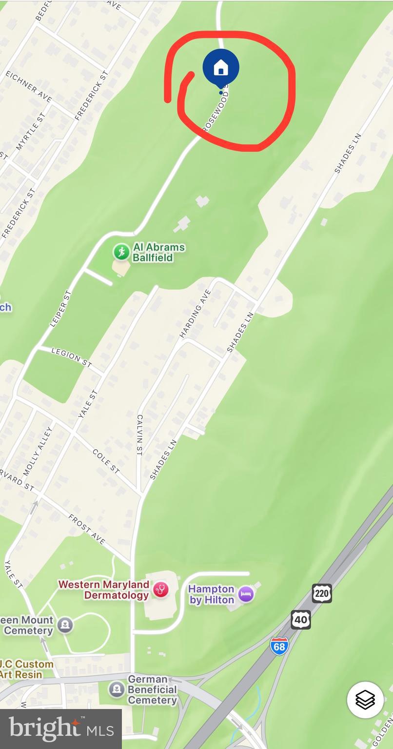 Main image without alt text