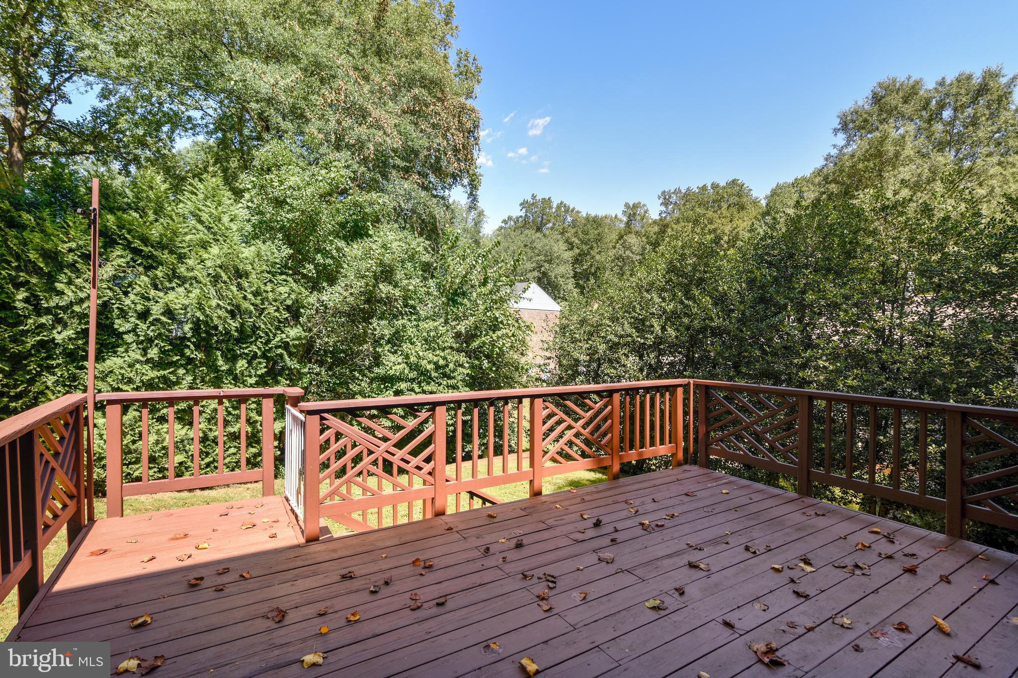 THE DOGWOODS AT LANGLEY - Residential