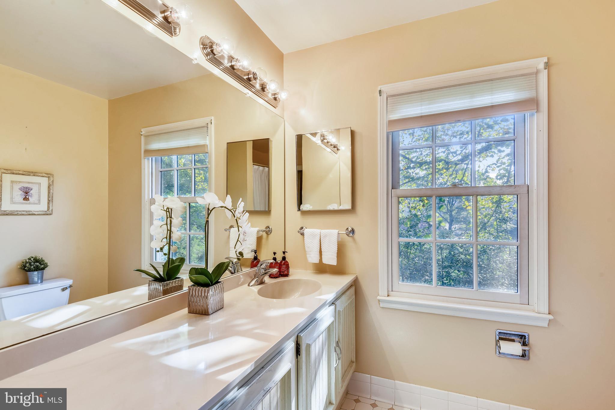 THE DOGWOODS AT LANGLEY - Residential