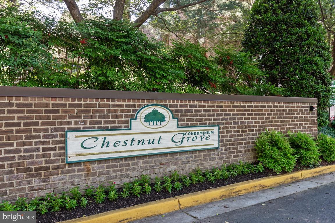 CHESTNUT GROVE - Residential