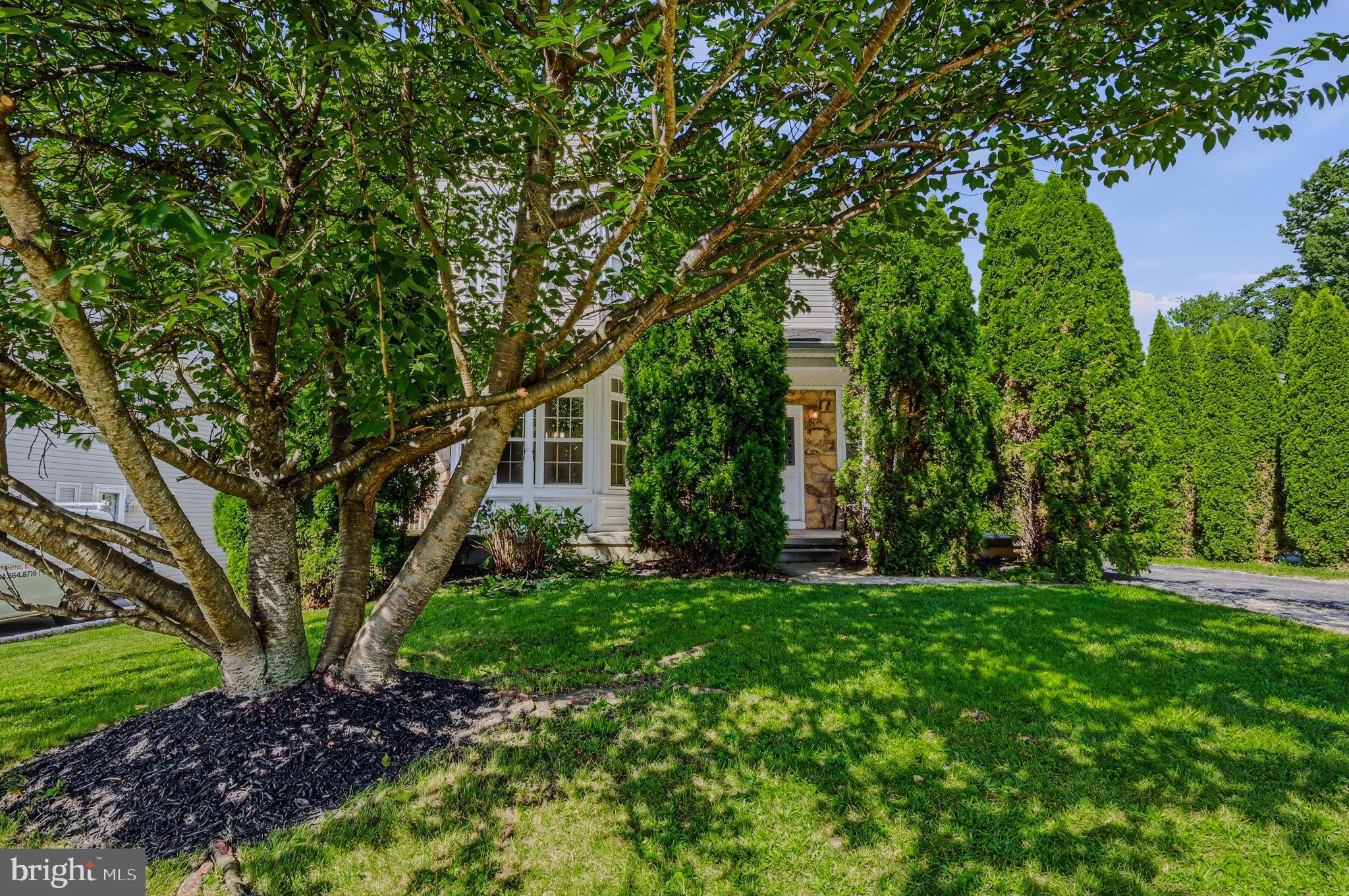 805 MILMONT AVENUE