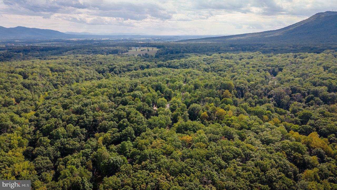 MASSANUTTEN - Residential