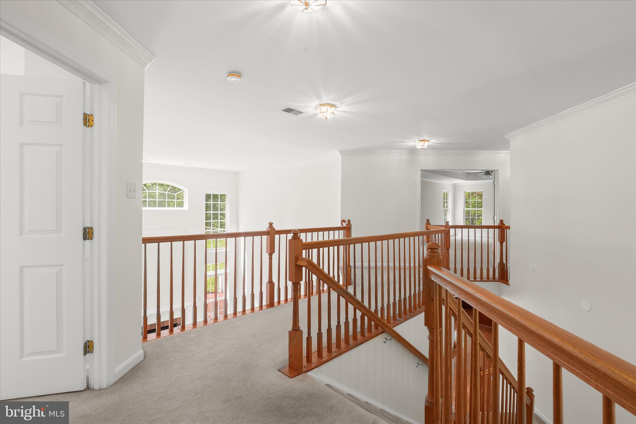 RIGGS MEADOW - Residential
