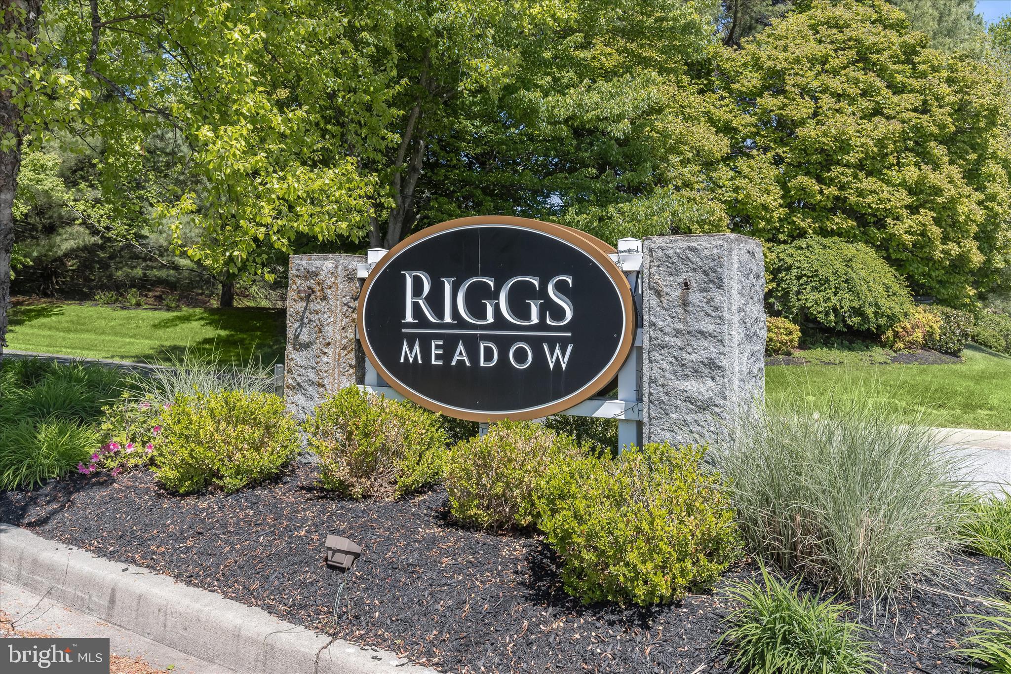 RIGGS MEADOW - Residential