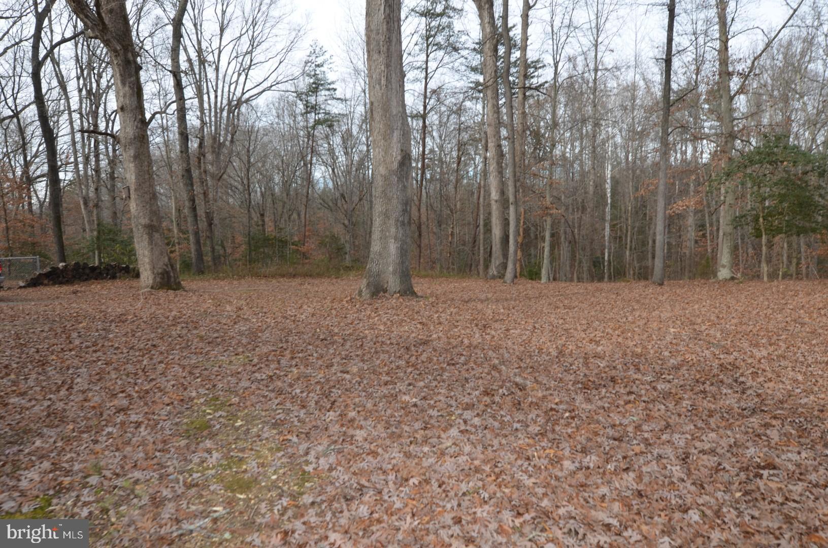 SHILO DISTRICT K.G. - Residential