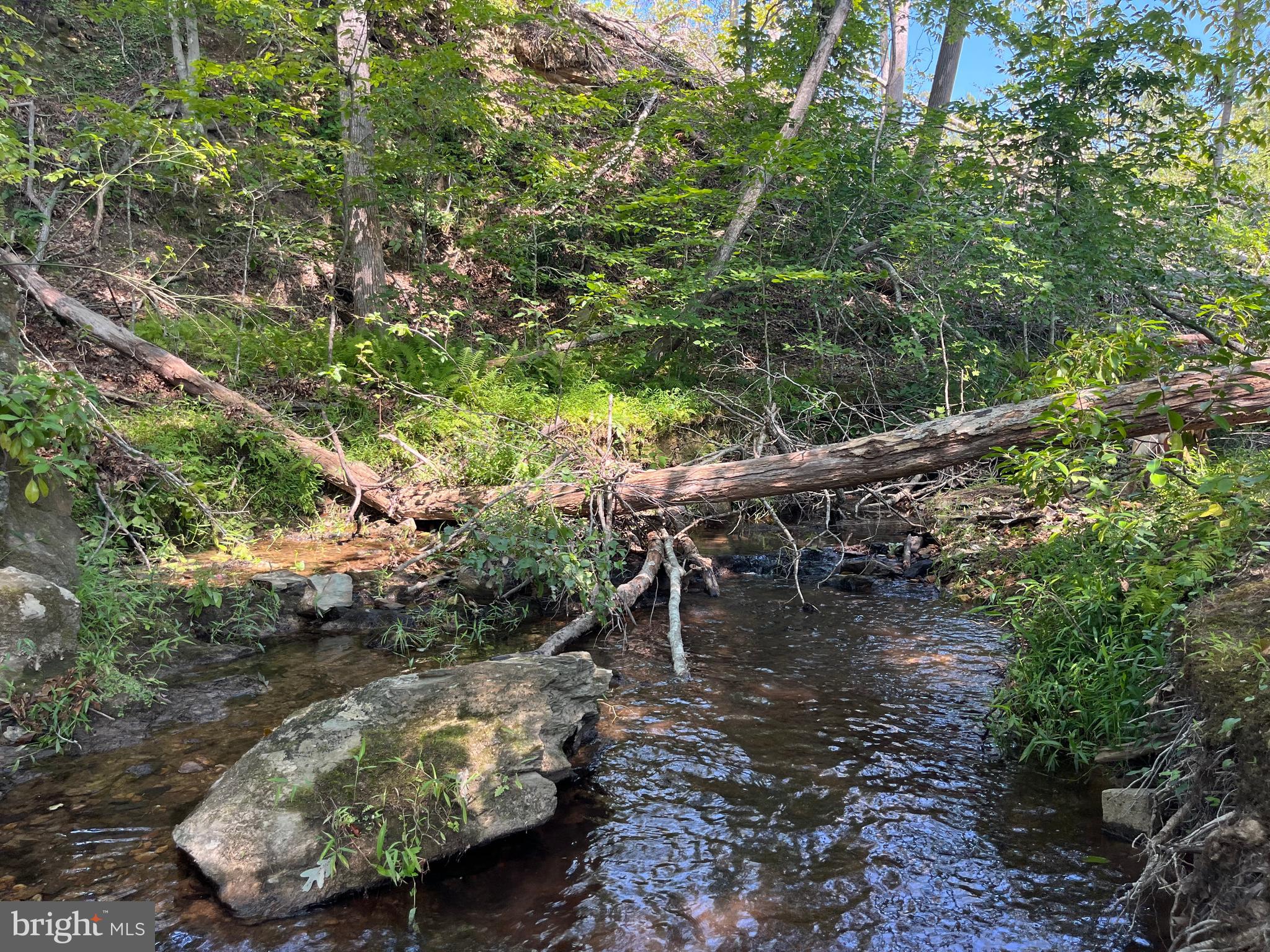 235 SPOTTED TAVERN ROAD