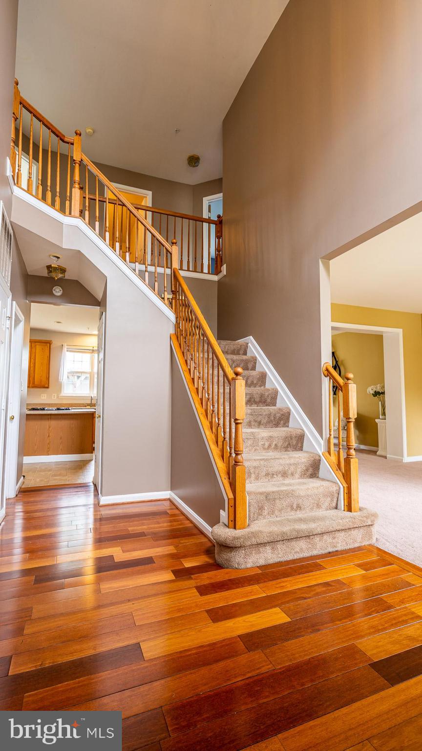 HORIZON HILLS - Residential