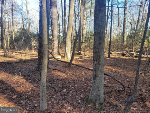 Vacant Land For Sale - LOT 13 Holiday Lane<br/> HAGUE, VA 22469