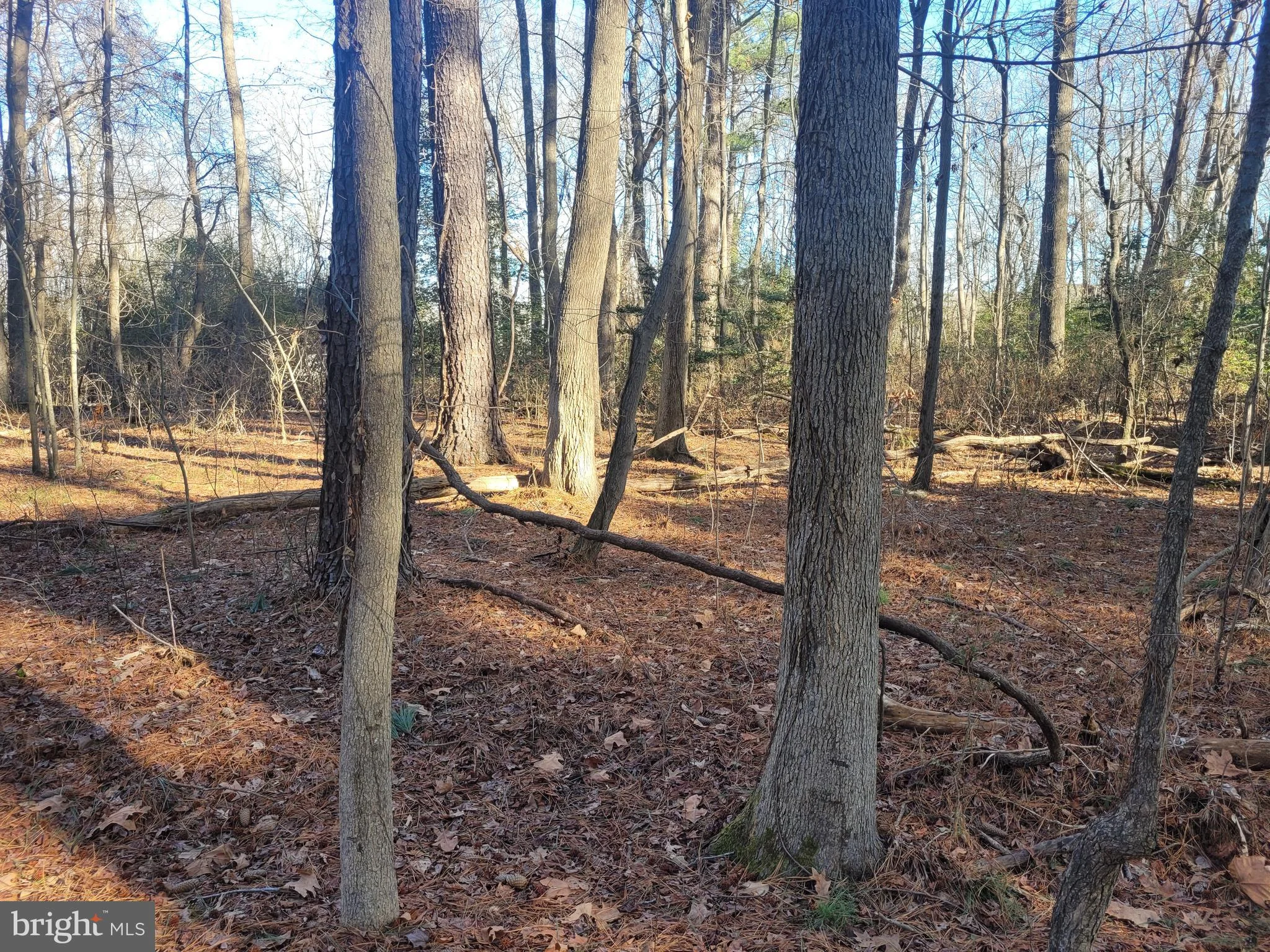 Lot 13 Holiday Lane
