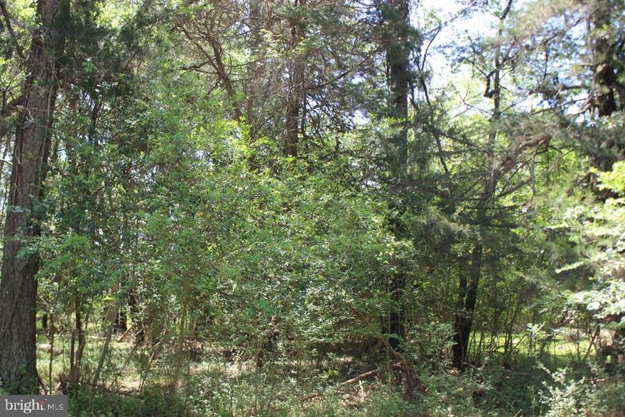 1/1093 Oversized, level, wooded lot (10,827 sq. ft.) in Captains Cove with water & sewer availability. Survey & Wetland Determination Study on file.  Nestled in the heart of Captains Cove and just minutes away from all the amenities. Extra-large building window for that perfect oversized rancher or perfect for an oversized garage for all your watercraft vehicles. Buy now and build later, take advantage of this great buy! No time frame to build and no builder Tie_in, Enjoy all the amenities and the lifestyle on the Eastern Shore of VA close to Chincoteague Island, Wallops Island and Ocean City MD. Captains Cove is the fastest growing Golf & Waterfront community on the Eastern Shore of VA. Amenities include golf, indoor/outdoor pools (2), fitness center,pickle-ball, tennis & basketball courts, playground, walking & biking trails, dog park, security and more. Call for more information.