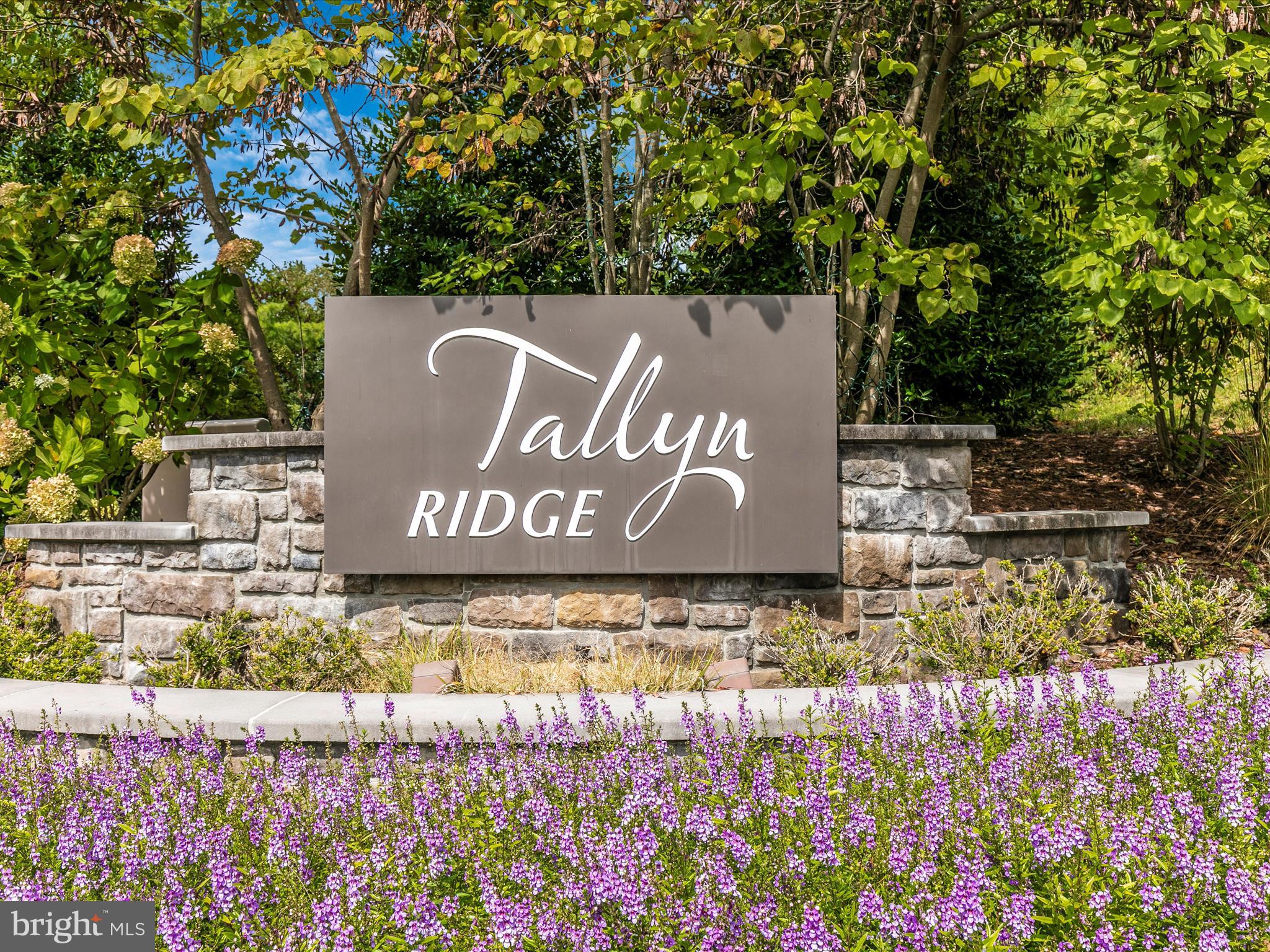TALLYN RIDGE - Residential