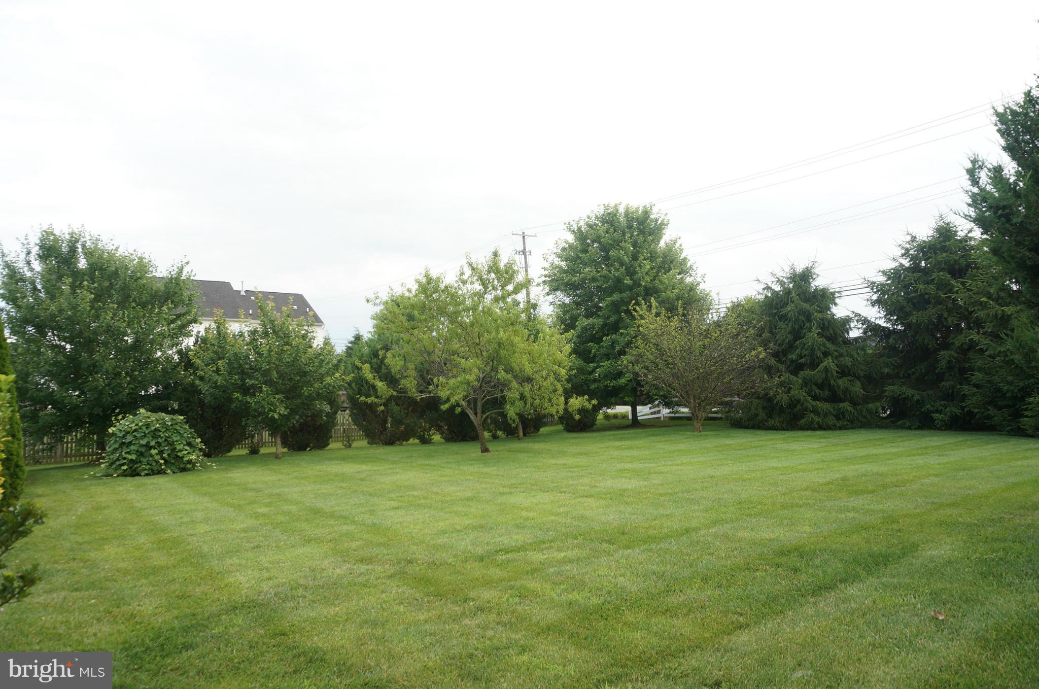 HAMPTONS OF BRIGHTWOOD - Residential