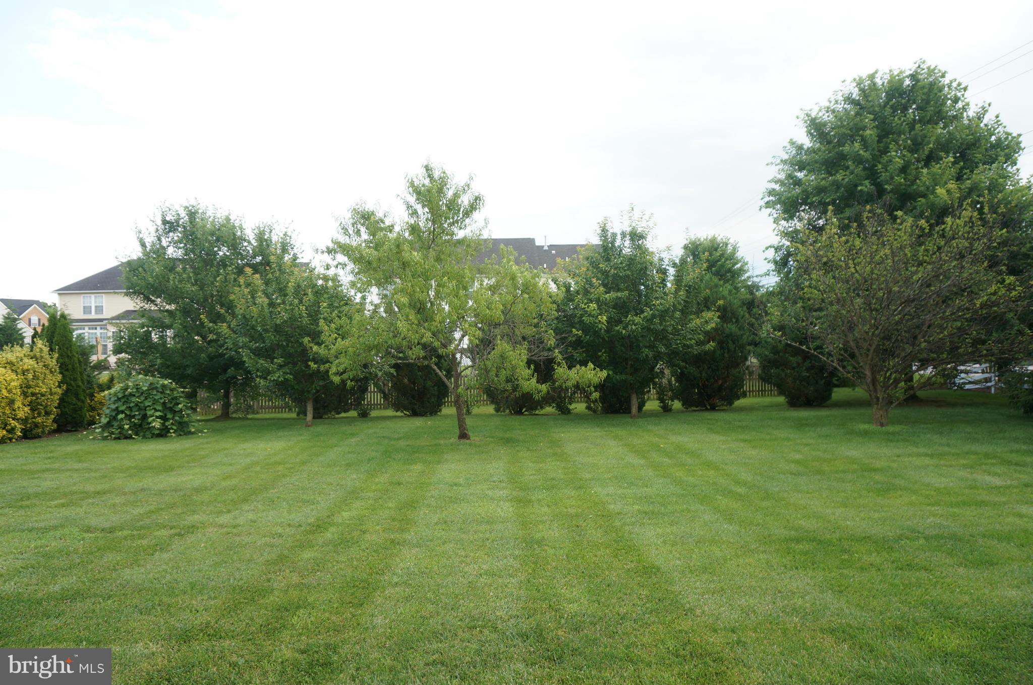 HAMPTONS OF BRIGHTWOOD - Residential