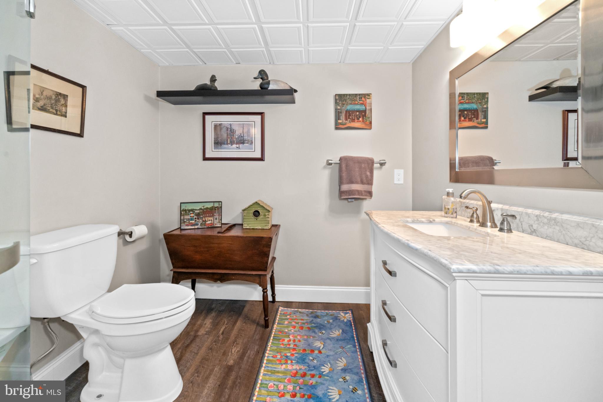 RADLEY RUN MEWS - Residential