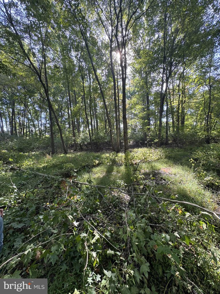 465 TOMLIN STATION ROAD