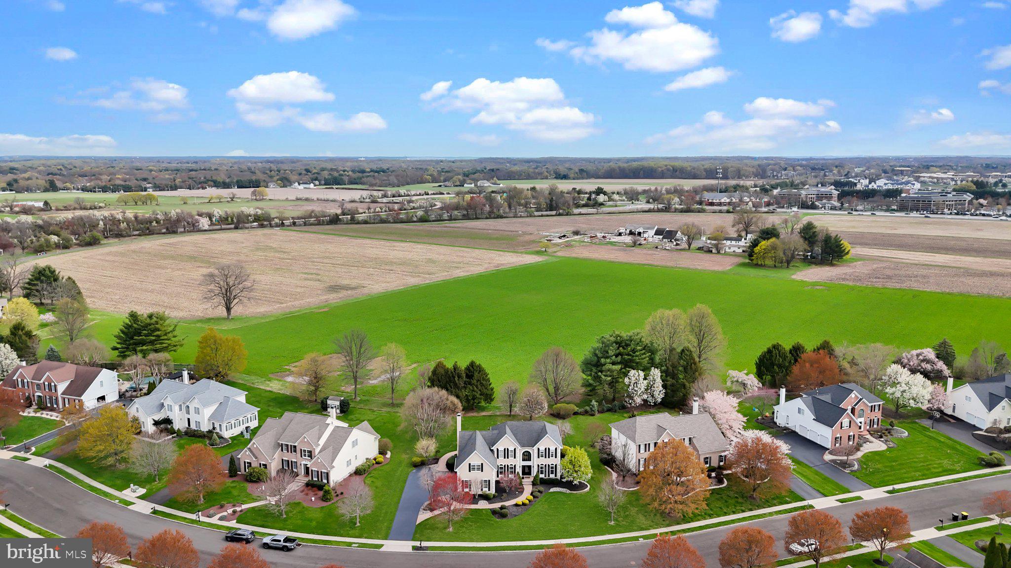 BRIDLE ESTATES - Residential