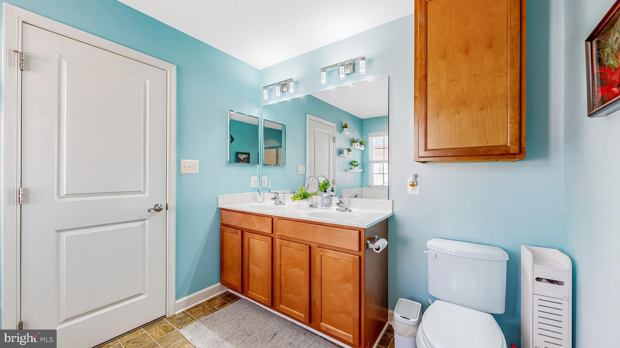 CHESTNUT RIDGE - Residential