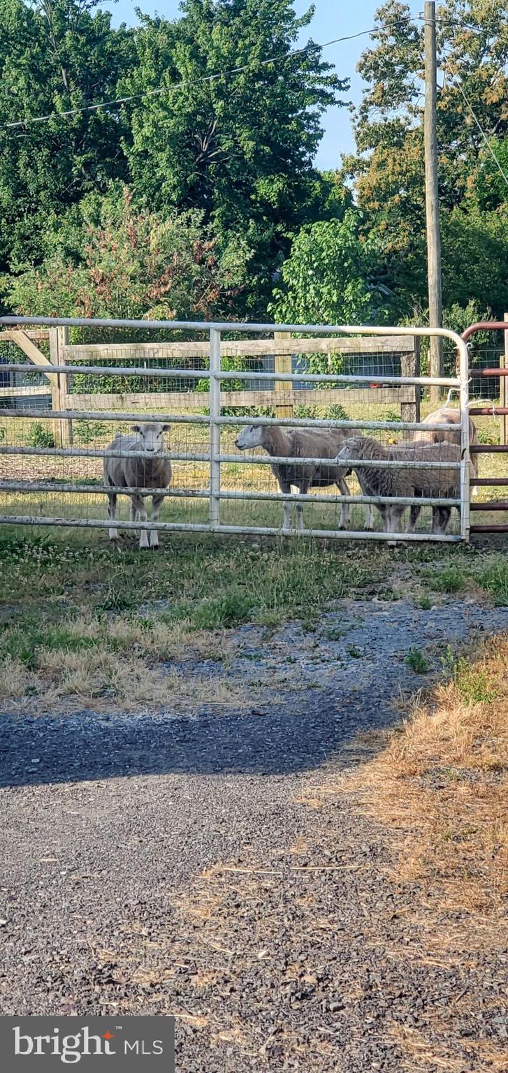 METES & BOUNDS - Residential Lease