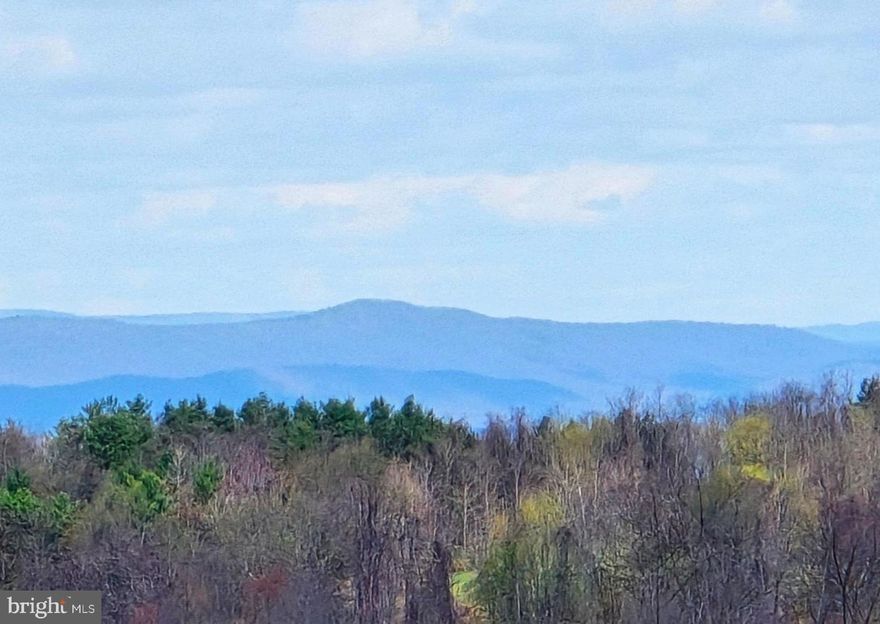 Welcome to your next big opportunity in the heart of the Shenandoah Valley! This stunning 4+ acre (combined) property in the private Skyline Lakes community offers the perfect blend of natural beauty and future potential. Partially cleared in spots and zoned for residential use. From fruit trees to bees this land is ideal for your dream mountain getaway, a full-time residence, or even a small-scale development project. 

Located just minutes from Skyline Drive, Luray Caverns, and the Shenandoah River, these parcels offer peace and privacy with convenient access to adventure and amenities. If you are looking to live the mountain life with plenty of room to roam or explore subdivision possibilities (subject to county approval), the options are wide open.