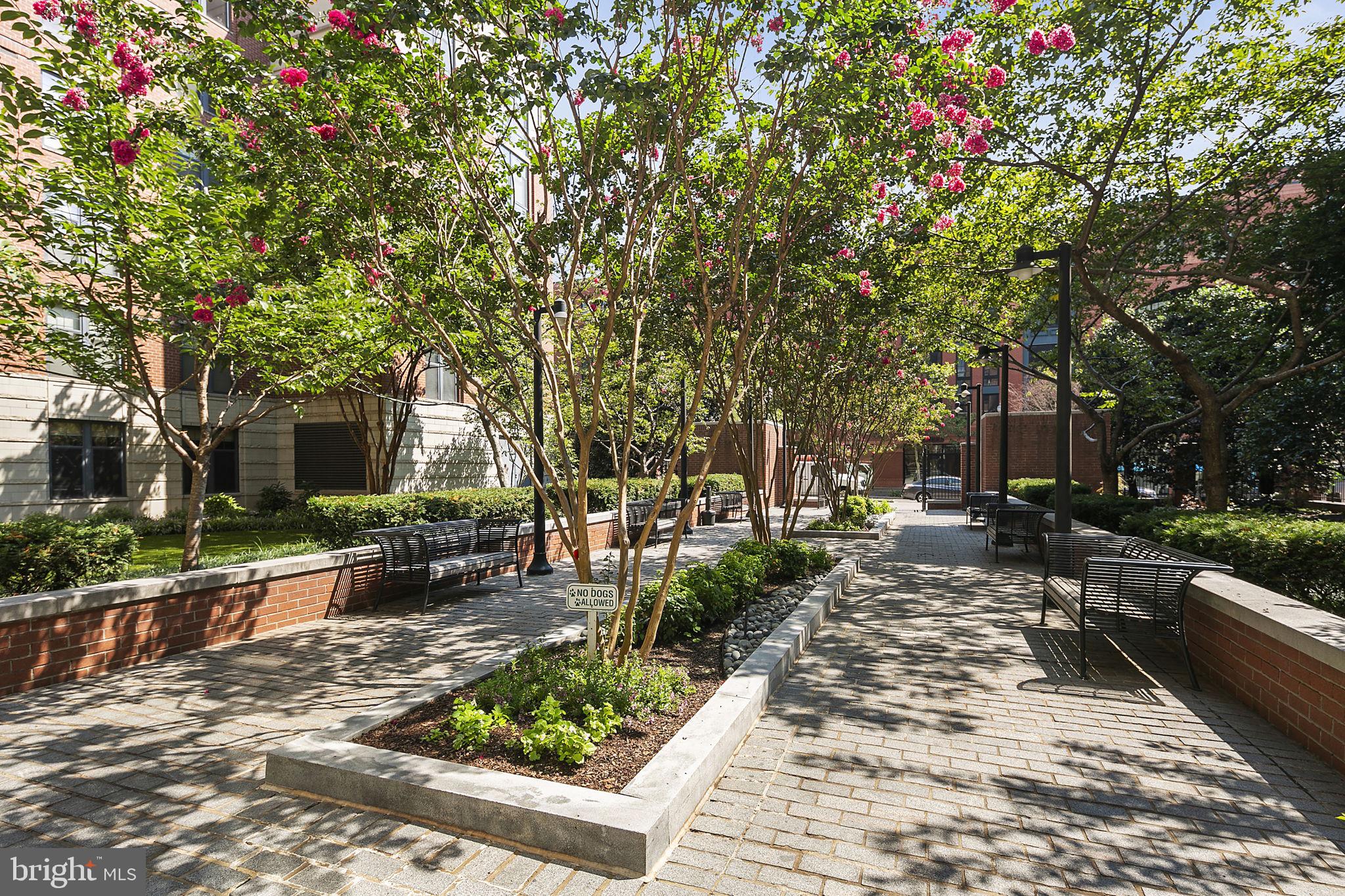 CLARENDON 1021 - Residential