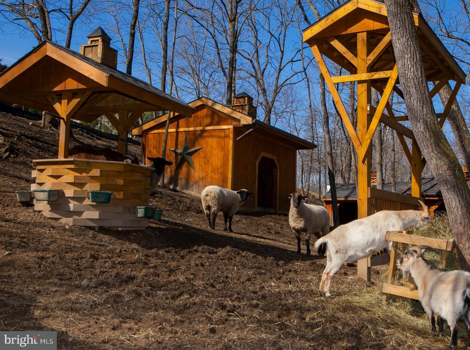 HORSESHOE BEND - Residential