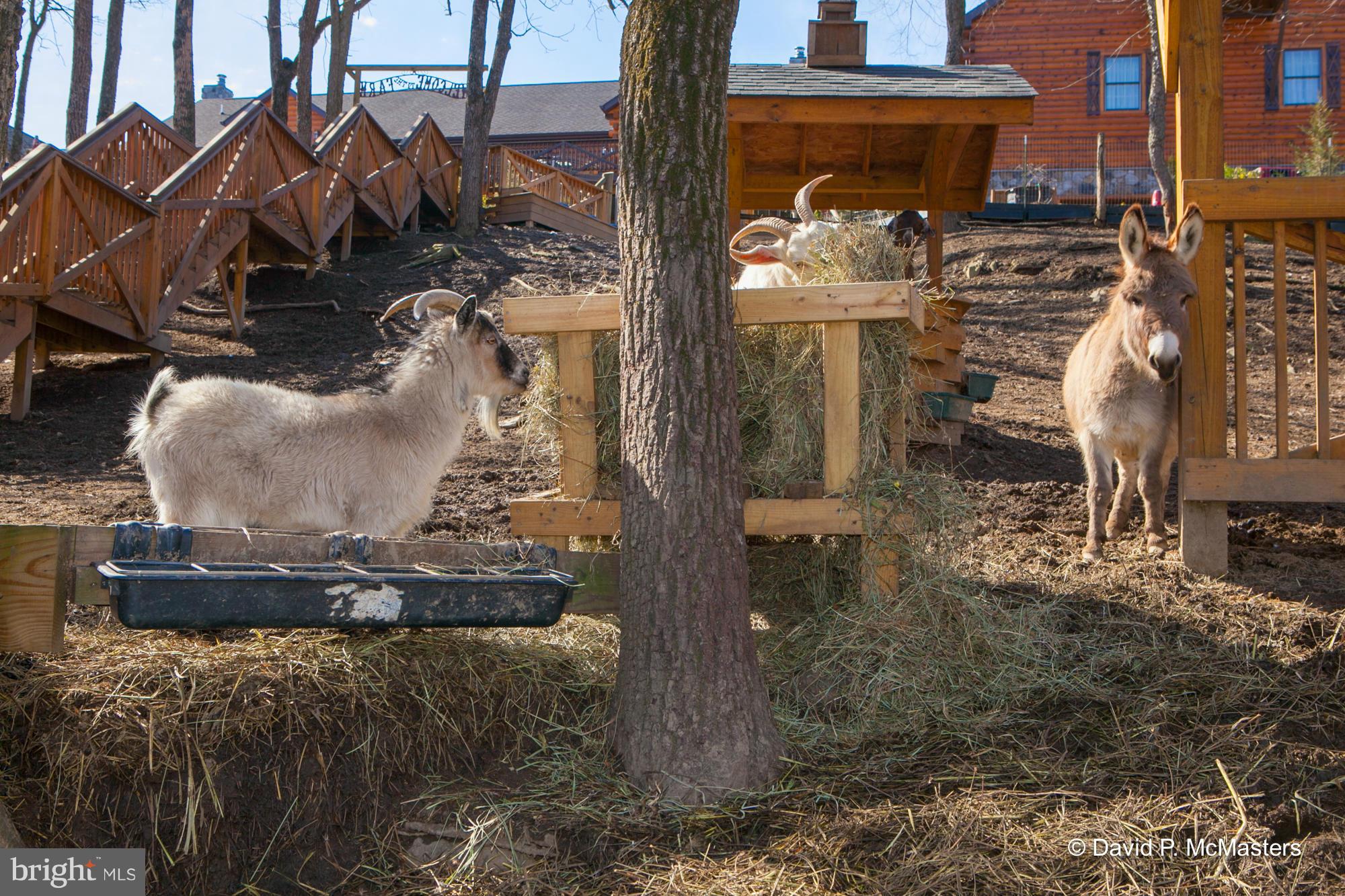 HORSESHOE BEND - Residential