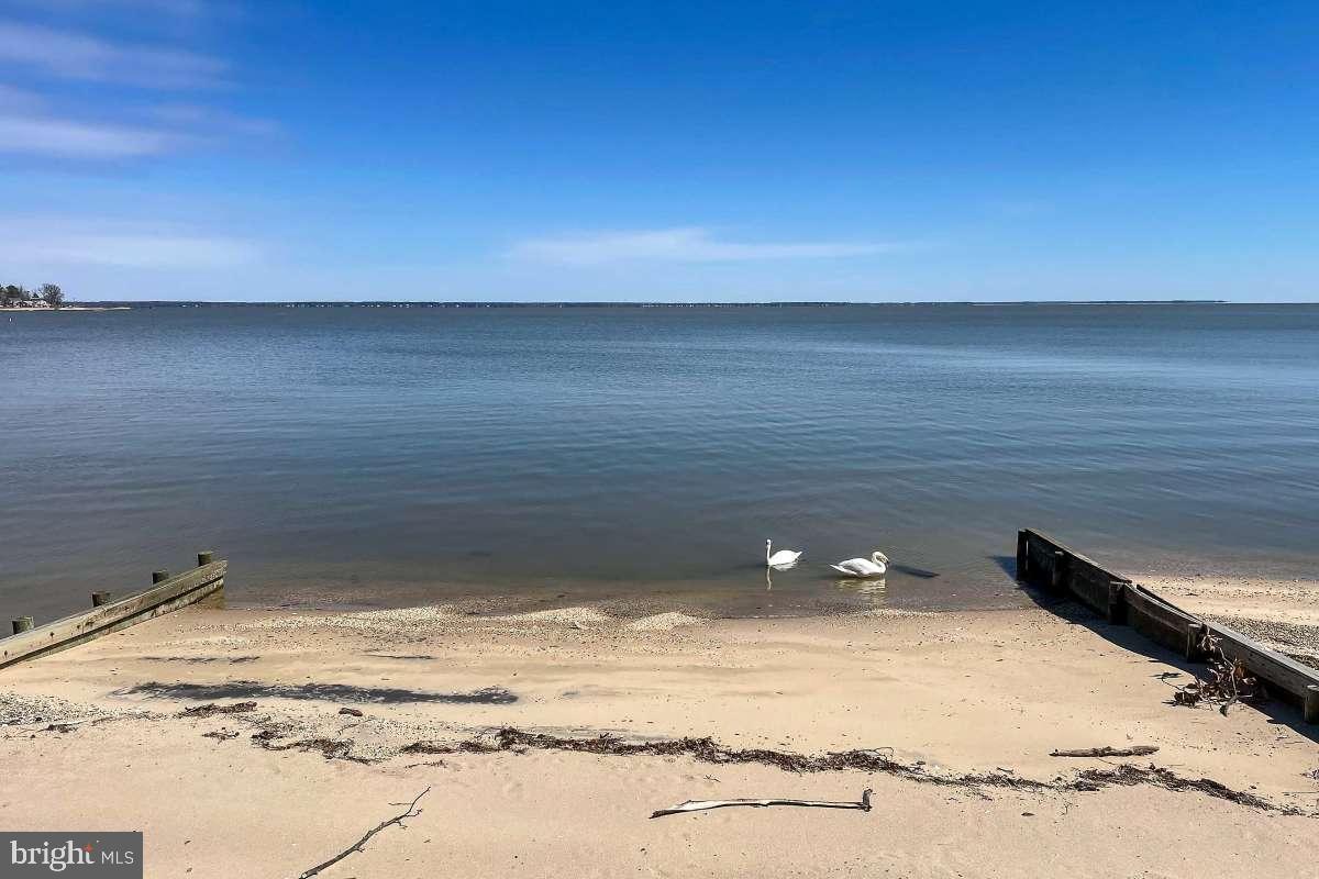 POTOMAC SHORES - Residential