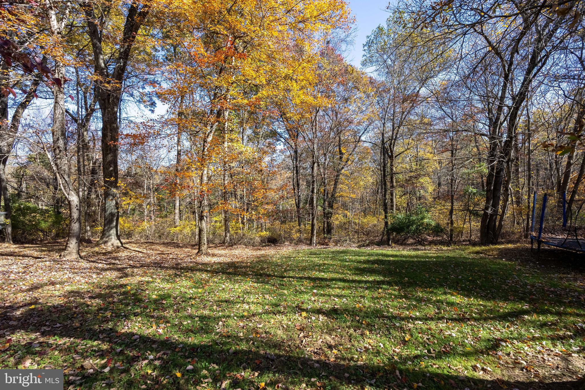 SCARBOROUGH WOODS - Residential