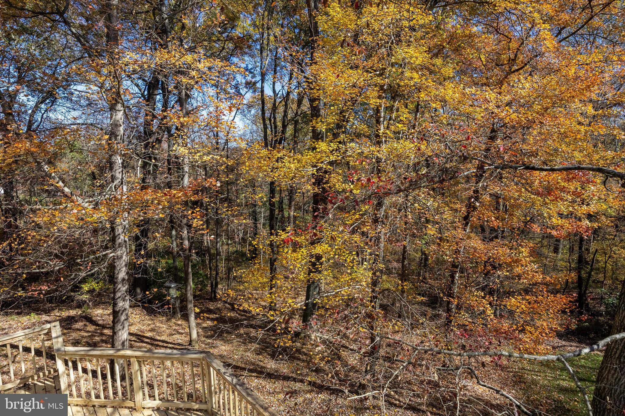 SCARBOROUGH WOODS - Residential