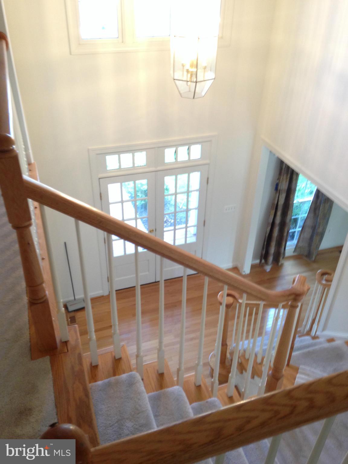 DELLABROOKE FOREST - Residential Lease