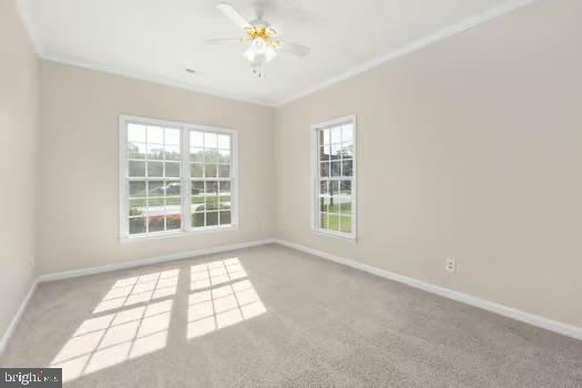 SALEM FIELDS - Residential