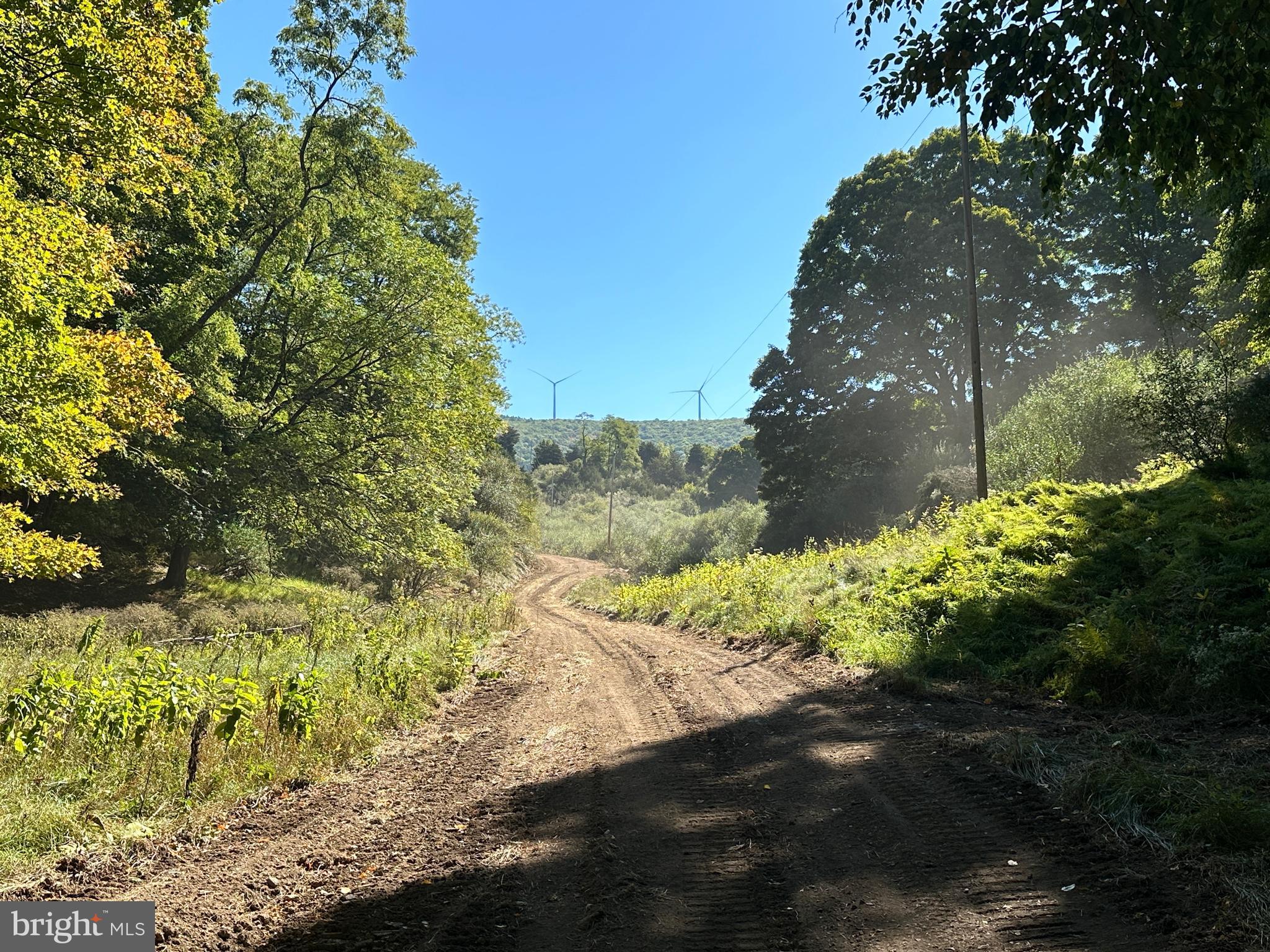 NONE AVAILABLE - Land