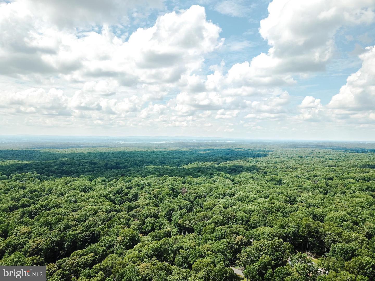 WOODBINE WOODS - Residential