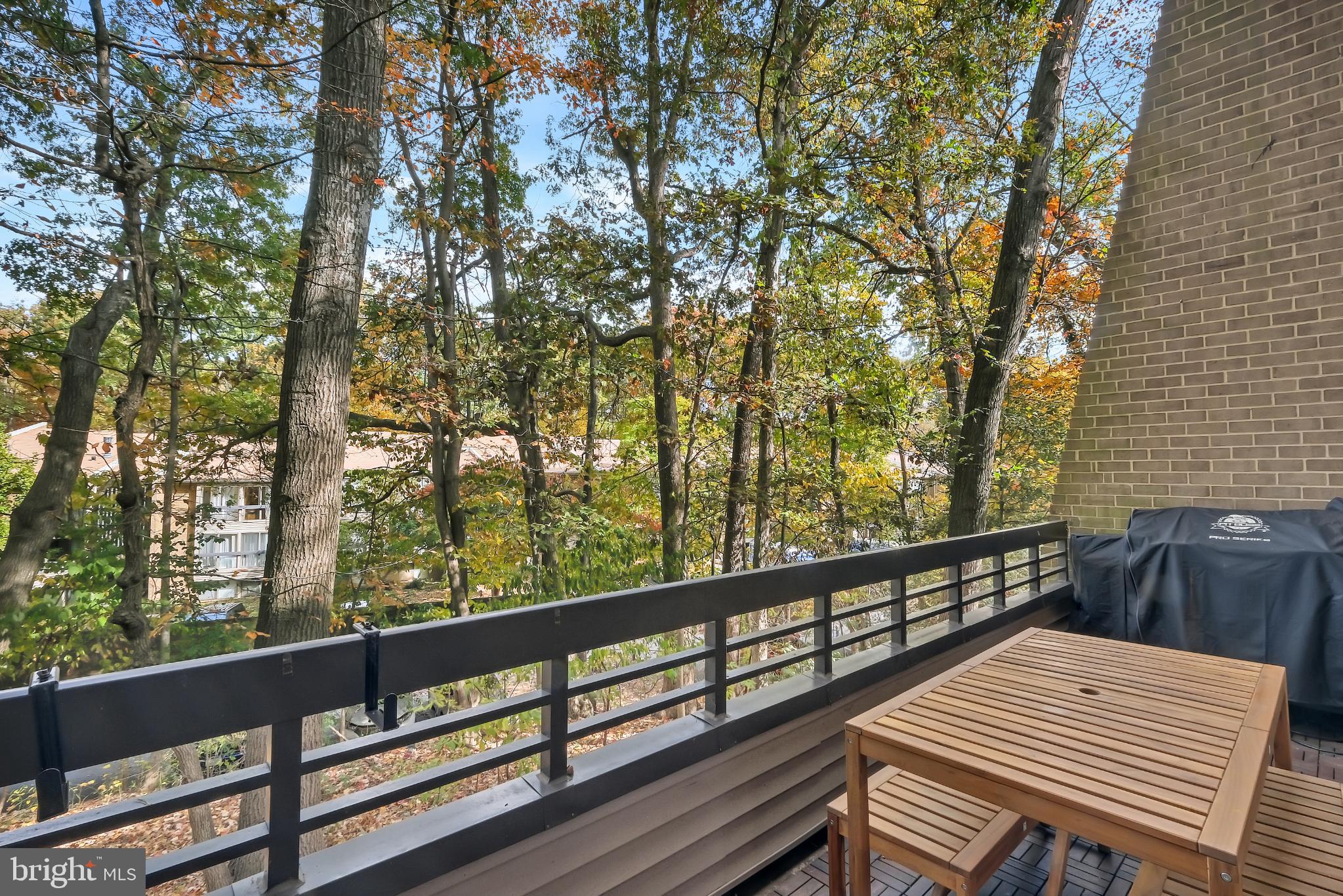 11604 IVYSTONE COURT 06