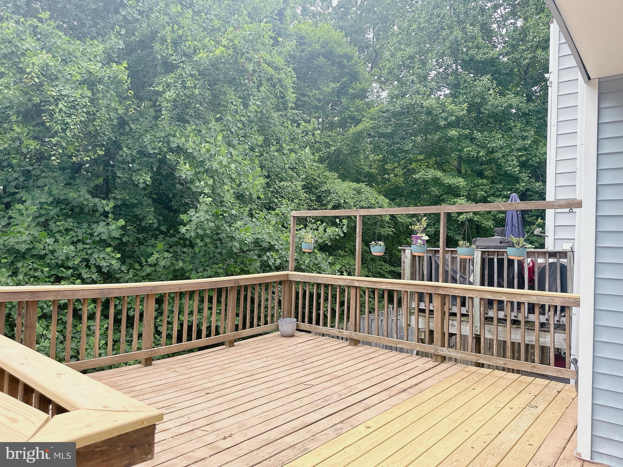 MONTCLAIR ST4 - Residential Lease