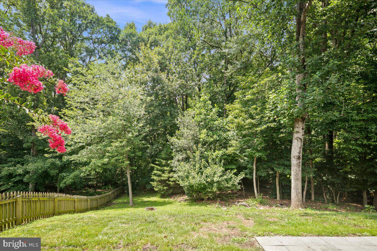 12518 HEDGES RUN DRIVE